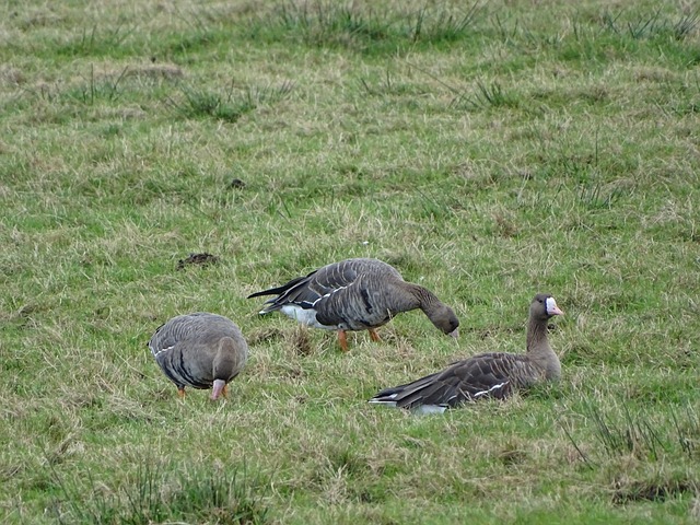结合实践的 结合实践的