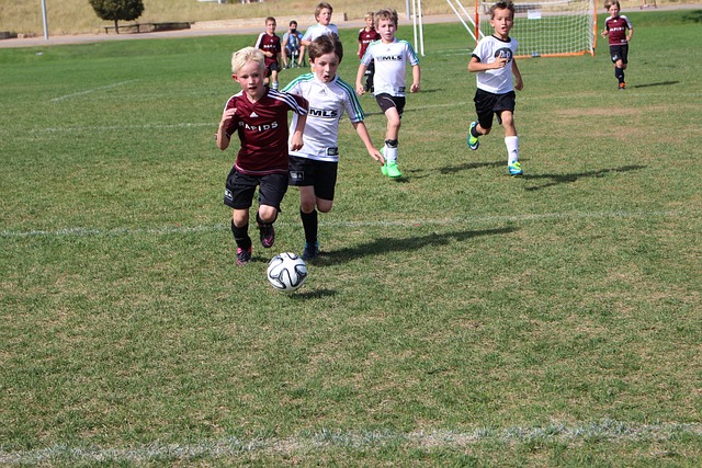 這可能是一 這可能是一