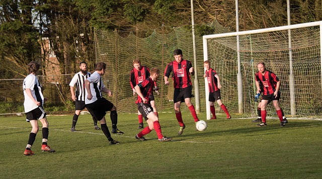 辛纳将迎来 辛纳将迎来