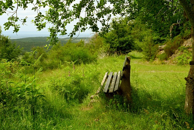 本赛季欧冠 本赛季欧冠
